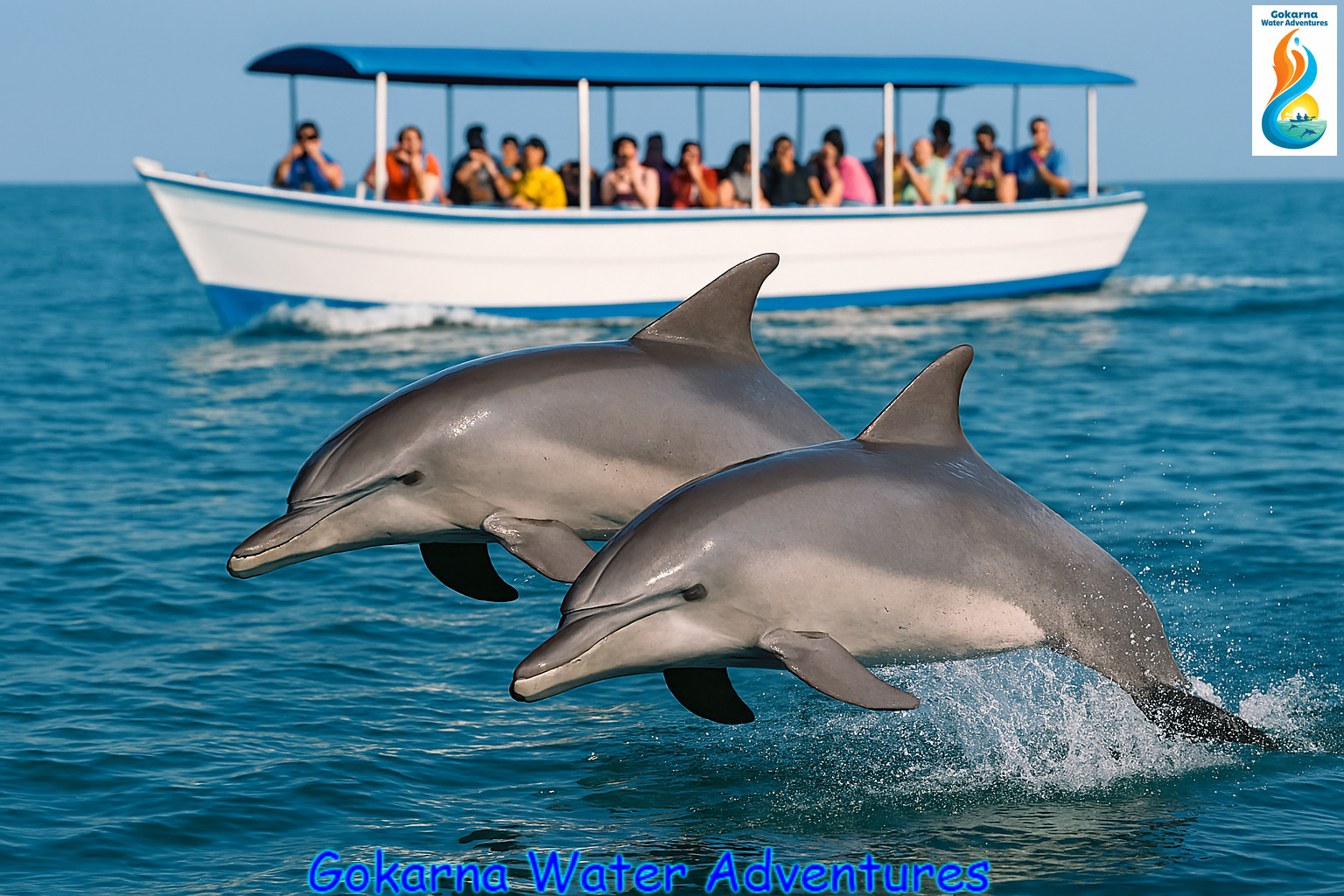 Dolphin Watching 🐬